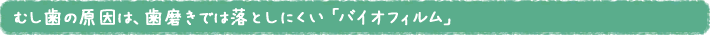 むし歯の原因は、歯磨きでは落としにくい 「バイオフィルム」