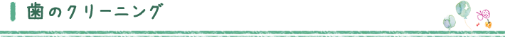 歯のクリーニング